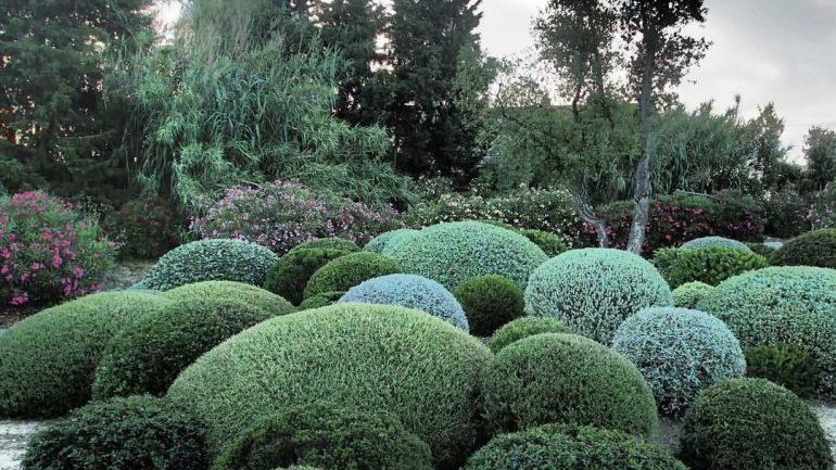 TOSCANA: Botanical Dry Garden, Orbetello (GR): spettacolare giardino annesso al vivaio Piante Mates, tutto con piante resistenti all'aridità e al caldo. Macchie di arbusti sempreverdi e foglie argentate, da teucri, a rosmarini, lavande e tante altre piante da clima mediterraneo s'alternano ai soffici ciuffi della graminacee ornamentali, illuminandosi in primavera ed estate di mille piccoli fiori. Cuore del giardino l'anfiteatro contornato da cipressi, destinato a ospitare concerti e altre rappresentazioni artistiche, e le suggestive installazioni in corten della serie Musicalia, dedicata alla musica, creata da paesaggista Vittorio Peretto.