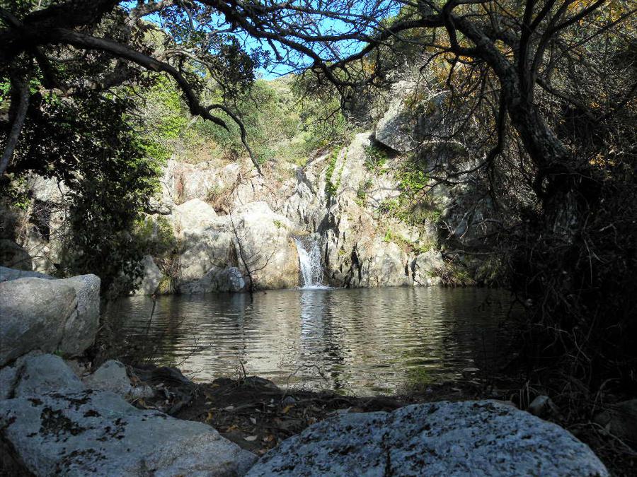 SARDEGNA: Valle del Rio Cannas, Cagliari: La gola del Rio Cannas/Picocca è un territorio di ripide e inaccessibili pareti granitiche scavate dall'acqua nel tempo, sul cui fondo fra fitti oleandri scorre un fiume dalle acque limpidissime. Dopo un lungo percorso tra le montagne del Sarrabus (nella Sardegna sud-orientale) il Rio Cannas affluisce nel Rio Ollastu ed entrambi i fiumi perdono il loro nome originale e diventano così il Rio Picocca che prosegue verso la costa. Il torrente Picocca in estate e in autunno è quasi asciutto, ma con l'arrivo delle piogge invernali può gonfiarsi fino a rendersi pericoloso. Lungo il percorso sono presenti numerosi monumenti naturali, come per esempio “l'Arco dell'Angelo”, sito roccioso che si trova alla confluenza del torrente con il Rio Cannas, oppure i numerosi massi arrotondati che si ergono imponenti lungo il canyon. La vegetazione presente lungo i rii e quella tipica della macchia maditerranea. Spiccano tuttavia, per maestosità e fioriture, i numerosi esemplari di oleandro (Nerium oleander) che hanno colonizzato gran parte delle sponde dei torrenti. Poco distante dalla valle del rio Cannas/Picocca, si trova il Parco Naturale dei Sette Fratelli, tra i più estesi parchi della Sardegna, ricco di endemismi e particolarità vegetali e faunistiche. Le montagne sono ricoperte per la maggior parte da una rigogliosa lecceta e da querce da sughero e sono l'habitat naturale del cervo sardo. Qui vivono anche aquile Reali, il gatto selvatico, la martora, il cinghiale, il muflone e il daino.