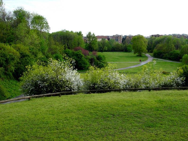 LOMBARDIA: Parco Nord, Milano: primo esempio di parco metropolitano che comprende zone di forestazione urbana. Grandi prati di fiori selvatici, zone boscose, alternate a zone più formali. Il parco sorge in un contesto tra i più densamente urbanizzati d'Europa, caratterizzato dalla presenza di storiche fabbriche (oggi quasi del tutto scomparse a seguito della de-industrializzazione) e grandi quartieri edilizi che, nel tempo, hanno saldato la periferia nord di Milano al suo hinterland senza alcun disegno urbanistico. Negli anni successivi al 1983 vengono realizzati orti per gli anziani, itinerari ciclopedonali, aree gioco per bambini, impianti sportivi, oltre a stagni e laghetti. Oggi il Parco Nord Milano offre oltre 430 ettari realmente fruibili di verde, organizzati in zone boschive, radure, filari, macchie arbustive, siepi e piccoli specchi d'acqua. All'interno del parco si trova il Teatrino Breda ultimato nel 1994 ai piedi della Montagnetta, risultato del recupero di una struttura industriale dismessa; il Monumento al deportato progettato dall'architetto Belgioioso, dedicato a tutti gli operai delle fabbriche di Sesto San Giovanni arrestati dai nazisti e deportati nei lager; Villa Manzoni con il suo parco; Villa Torretta, villa signorile del XVI secolo interamente affrescata ed oggi sede di un centro congressi.