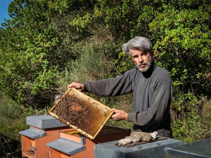 Antonio. Per l'azienda agricola si occupa delle arnie, dell'orto e del giardino di aromi. Tutto biologico e 100% naturale.