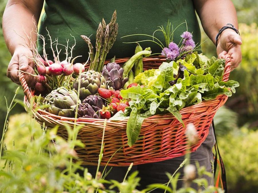 Il raccolto di frutta e verdura nell'orto che si estende per un ettaro. 