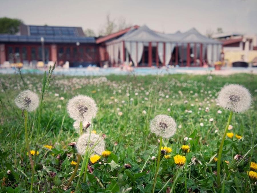 Cabine massaggio esterne alle Terme Preistoriche di Montegrotto