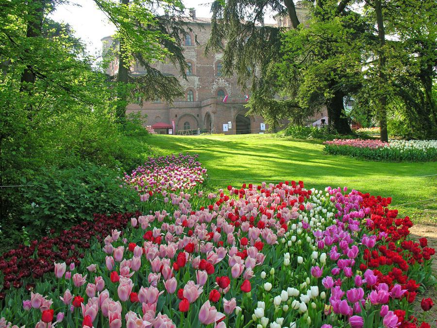 Messer Tulipano, Castello di Pralormo (Torino) - Dal 30 marzo al 1 maggio torna con la ventesima edizione “Messer Tulipano”, che fa fiorire il parco del Castello con 100mila tulipani. Fra le varietà più particolari selezionate e introdotte quest'anno, il gruppo dei Viridiflora, il tulipano nero Queen of night, il tulipano Mata Hari, il tulipano Pink impression.