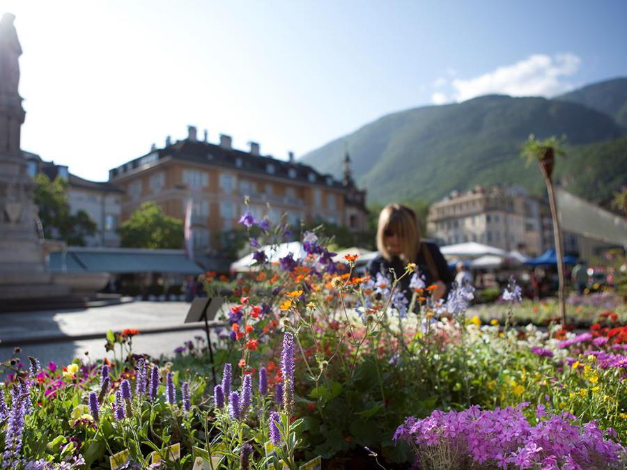 Festa dei fiori, Bolzano - Un evento storico, arrivato alla sua 131esima edizione: per due giorni, il 30 aprile e il 1 maggio, la piazza Walther si trasforma in un immenso orto botanico e in una mostra mercato che ospita le piante dei floricoltori dell'Alto Adige. Il 1 maggio è in programma anche un bici raduno a tema