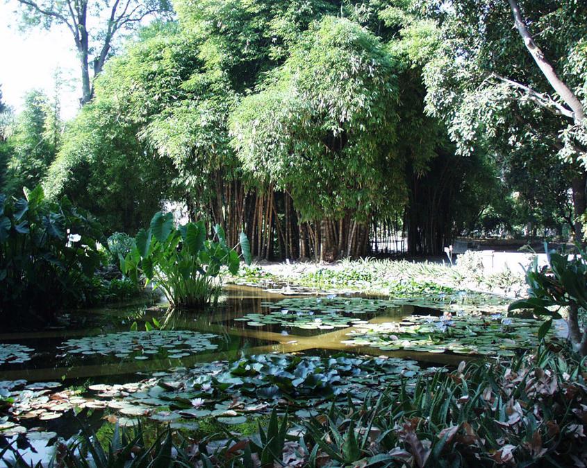  Zagara di Primavera, Orto Botanico di Palermo - Dal 29 al 31 marzo torna tra i viali dell'Orto Botanico dell'Università degli Studi di Palermo la 38esima edizione della mostra-mercato Zagara, dedicata al giardinaggio e al florovivaismo, aperta alla partecipazione di vivaisti-produttori italiani e stranieri. I proventi della mostra-mercato dedicata alle piante aromatiche, alimentari e officinali, sono destinati al sostegno dell'Orto Botanico, un luogo con oltre duecento anni di storia
