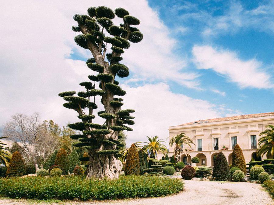 Radicepura, Giarre (Catania) - Il 27 aprile aprirà a Giarre, in Sicilia, la seconda edizione del Radicepura Garden Festival, biennale promossa dalla Fondazione Radicepura che rappresenta il primo evento internazionale dedicato al paesaggio del Mediterraneo, e coinvolge protagonisti del paesaggismo, dell'arte e dell'architettura, giovani designer, studiosi, istituzioni, imprese. Fino al 27 ottobre, nel parco botanico della Fondazione Radicepura, sarà possibile visitare 14 giardini e 4 installazioni, realizzate appositamente con le piante più originali coltivate da Piante Faro, che raccoglie 800 specie e oltre 5000 varietà, grazie all'attività portata avanti da oltre 50 anni da Venerando Faro, alla guida dell'azienda insieme ai figli Mario e Michele.