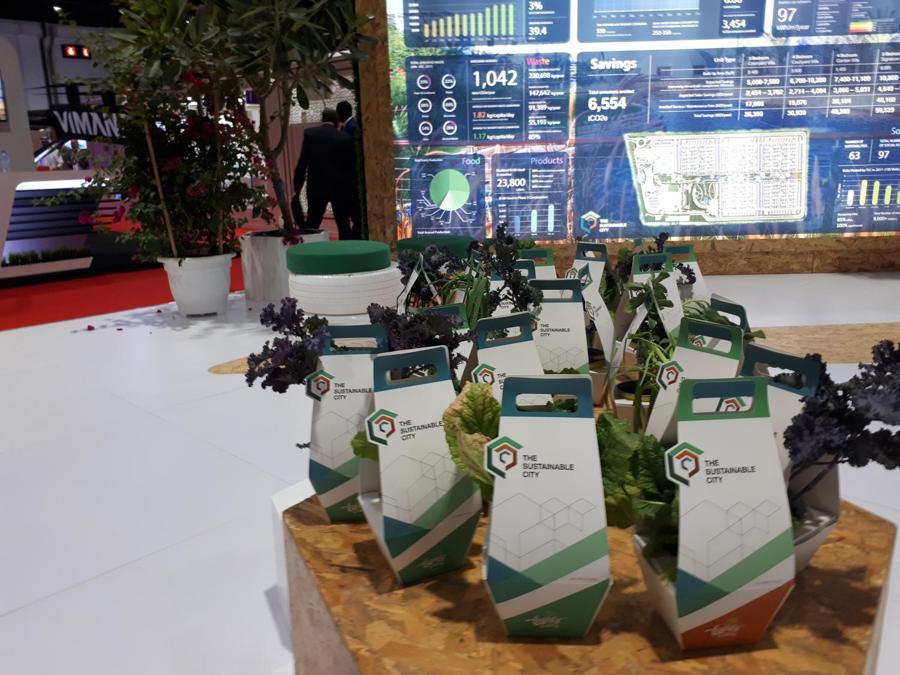 La verdura coltivata nelle 11 Bio Dome (Cupole biologiche con ventilazione naturale) è stata regalata ai visitatori per dimostrarne la  bontà: wasabi, basilico e cavolo verza