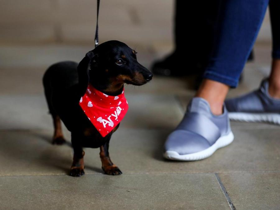 REUTERS/Simon Dawson