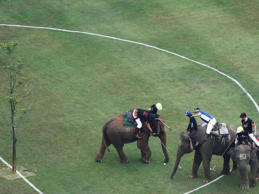 Giocatori durante l’annuale partita del King's Cup Elephant Polo Tournament a Bangkok. (REUTERS)