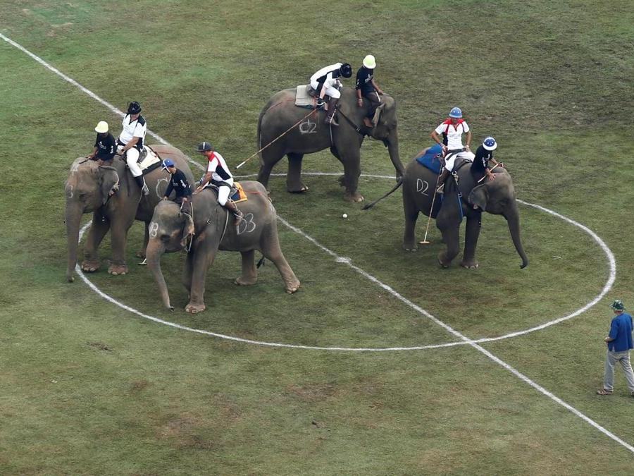 Giocatori durante l’annuale partita del King's Cup Elephant Polo Tournament a Bangkok. (REUTERS)
