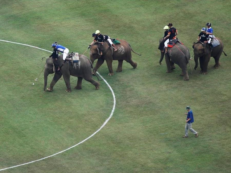 Giocatori durante l’annuale partita del King's Cup Elephant Polo Tournament a Bangkok. (REUTERS)