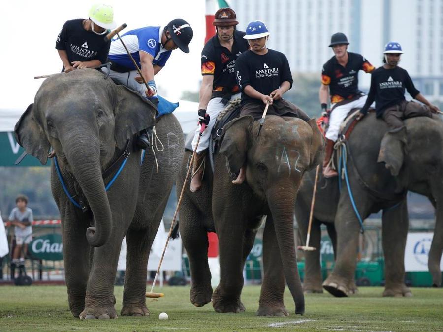 Giocatori durante l’annuale partita del King's Cup Elephant Polo Tournament a Bangkok. (REUTERS)