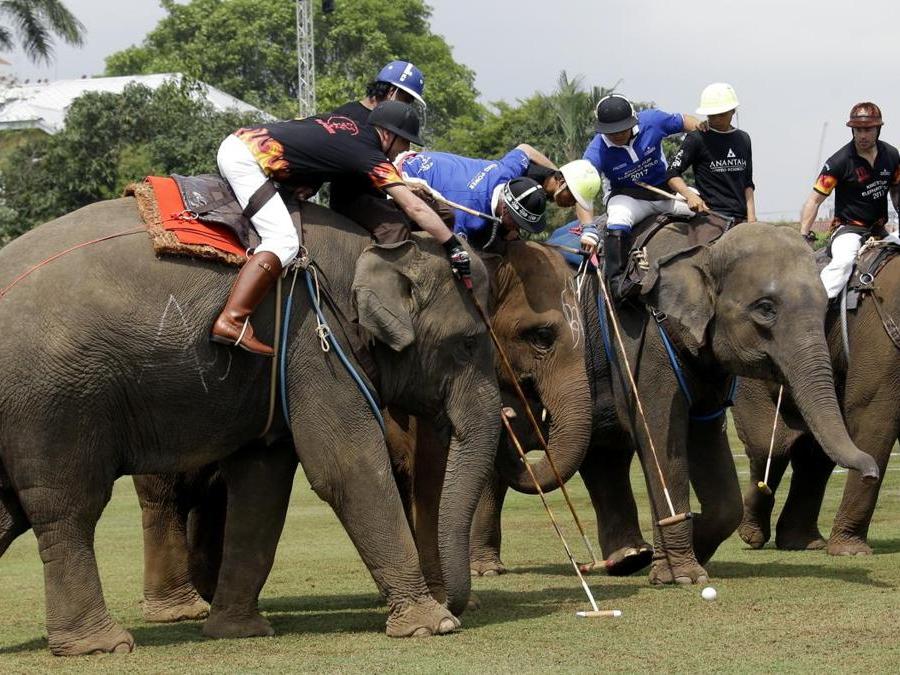 Giocatori durante l’annuale partita del King's Cup Elephant Polo Tournament a Bangkok. (AP Photo)