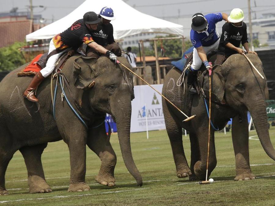 Giocatori durante l’annuale partita del King's Cup Elephant Polo Tournament a Bangkok. (AP Photo)