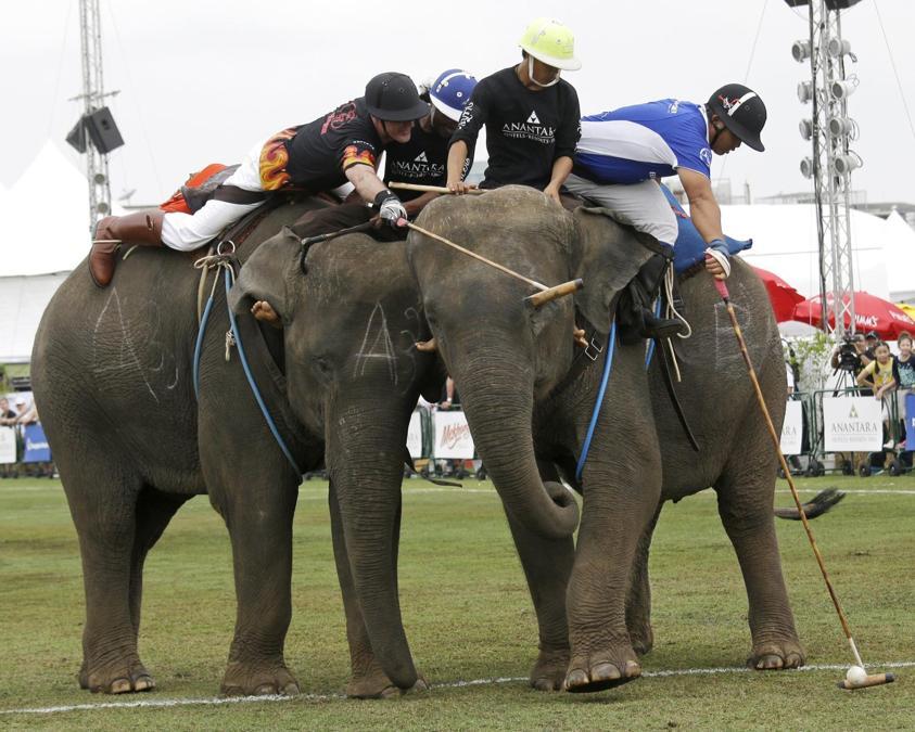 Giocatori durante l’annuale partita del King's Cup Elephant Polo Tournament a Bangkok. (AP Photo)