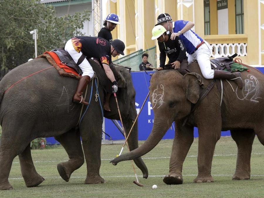 Giocatori durante l’annuale partita del King's Cup Elephant Polo Tournament a Bangkok. (AP Photo)