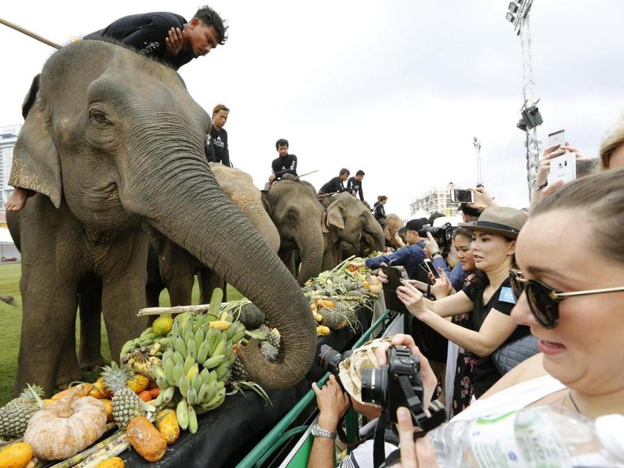 Il pubblico ristora i protagonisti del King's Cup Elephant Polo Tournament a Bangkok. ( EPA)