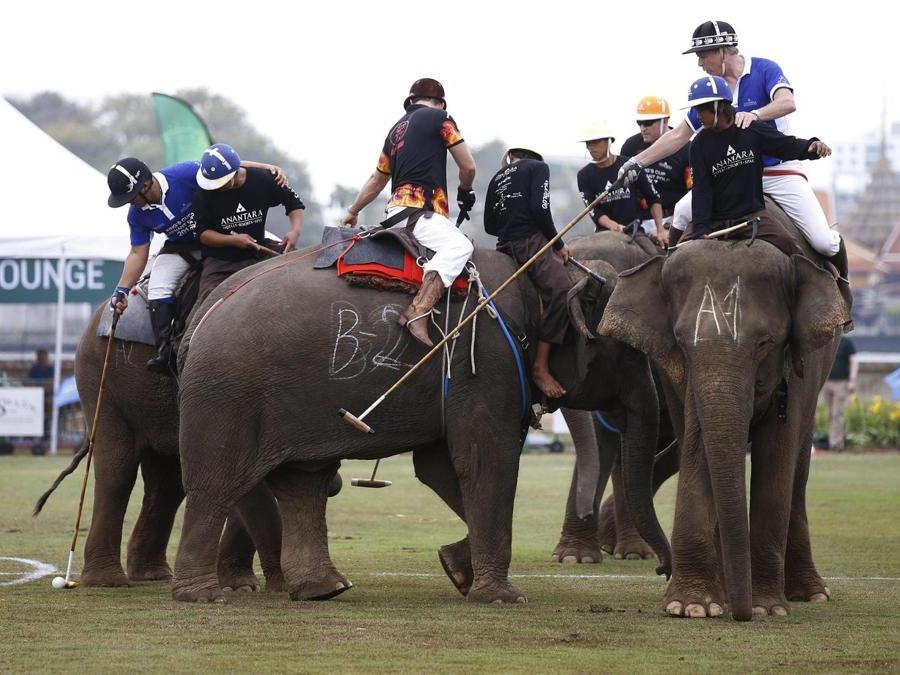 Giocatori durante l’annuale partita del King's Cup Elephant Polo Tournament a Bangkok. (EPA)