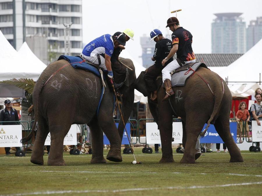 Giocatori durante l’annuale partita del King's Cup Elephant Polo Tournament a Bangkok. (EPA)