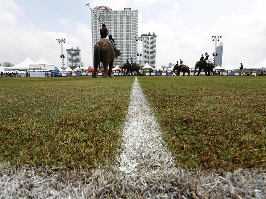 Vista del campo con i protagonisti del King's Cup Elephant Polo Tournament. (EPA)
