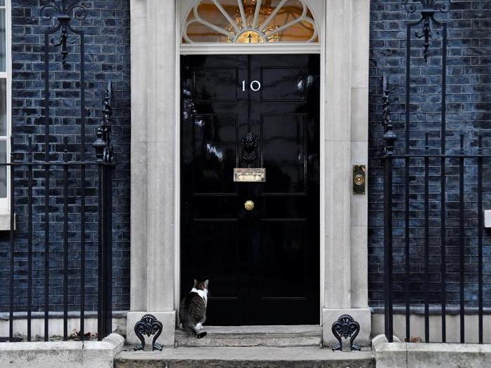Larry, il gatto di Downing Street che vigila sulla Brexit