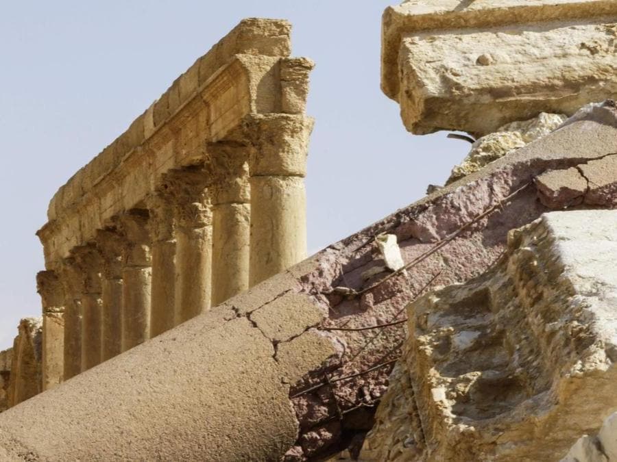 Panorama di Palmyra. (AFP PHOTO)