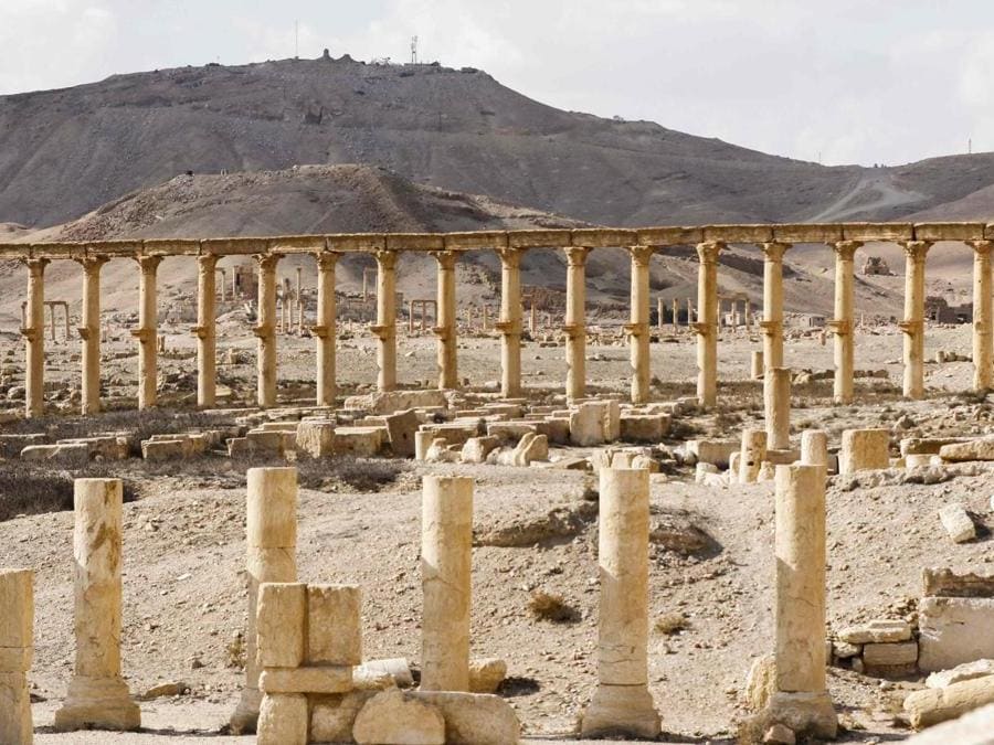 Panorama di Palmyra. (AFP PHOTO)