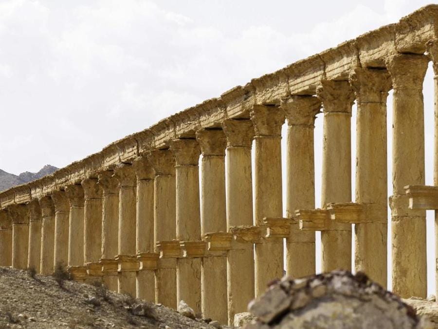 Panorama di Palmyra. (AFP PHOTO)