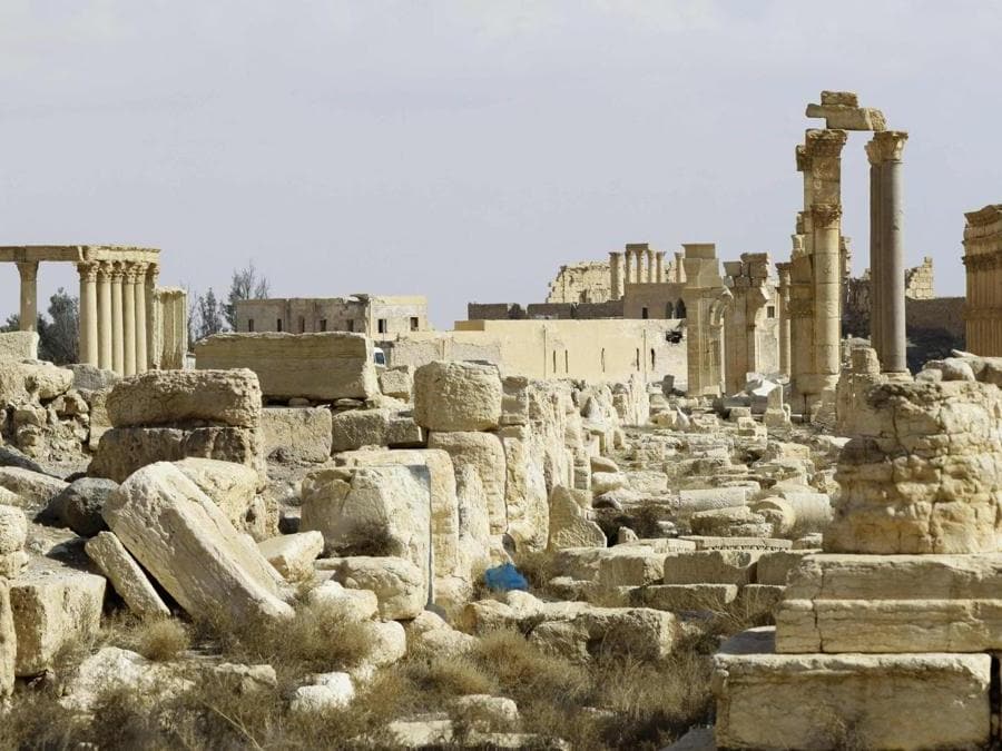 Panorama di Palmyra. (AFP PHOTO)