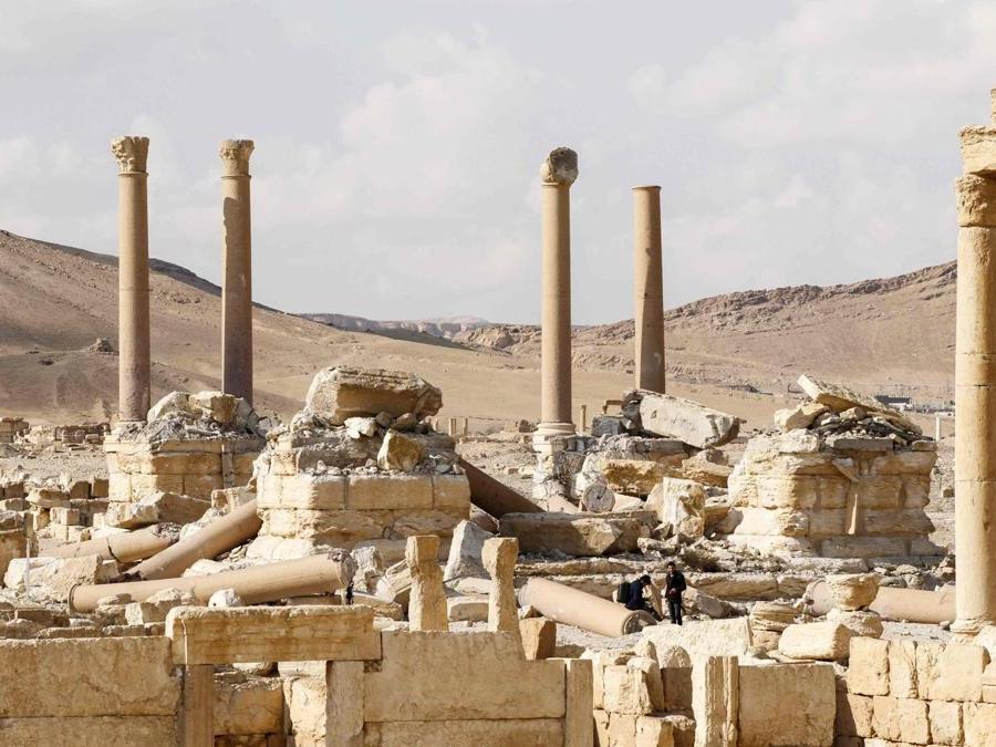 Panorama di Palmyra. (AFP PHOTO)