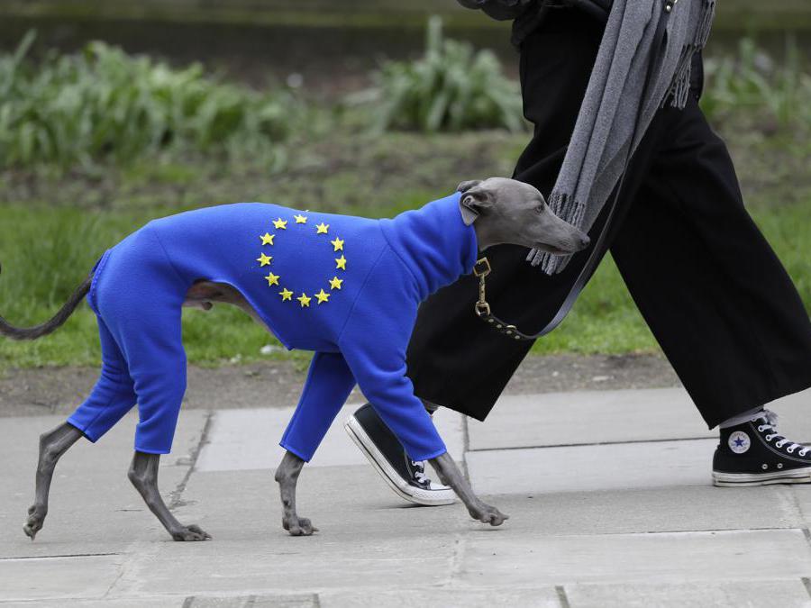 (AP Photo/Kirsty Wigglesworth)