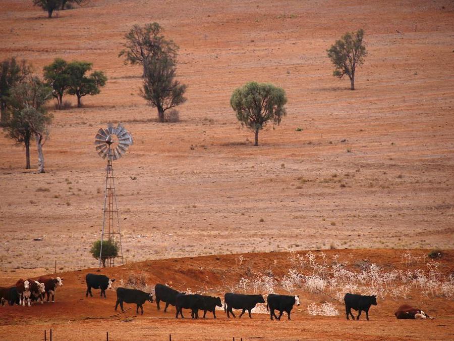 Gunnedah,  New South Wales in Australia. REUTERS/David Gray/File Photo