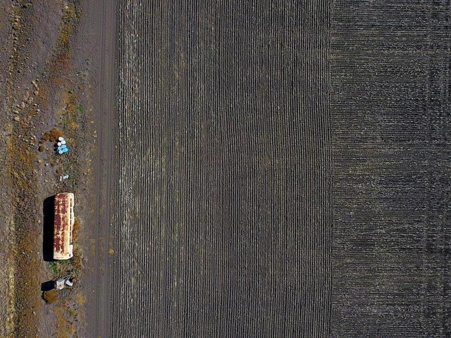 Gunnedah, New South Wales, Australia. REUTERS/David Gray