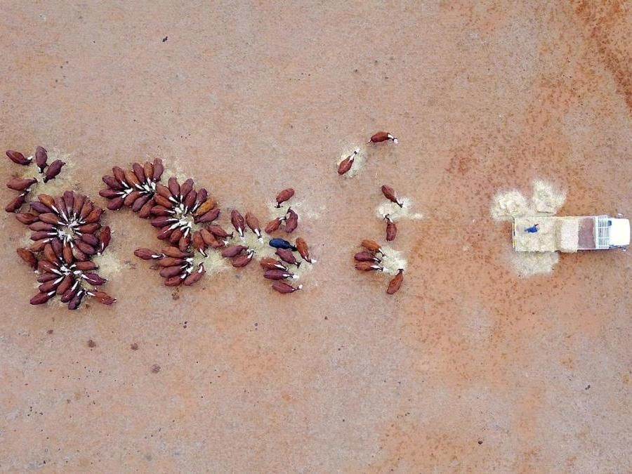 Gunnedah, New South Wales, Australia. REUTERS/David Gray