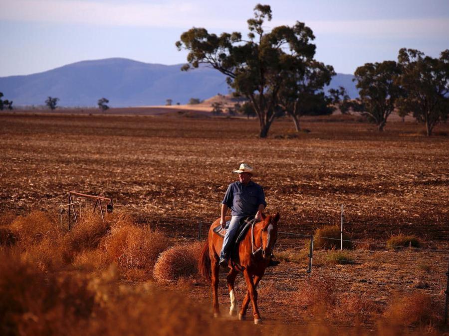 Gunnedah, in Australia. REUTERS/David Gray