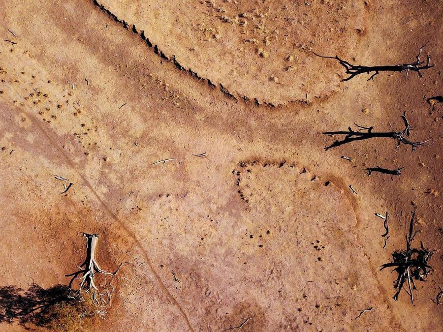 Gunnedah, New South Wales, Australia. REUTERS/David Gray