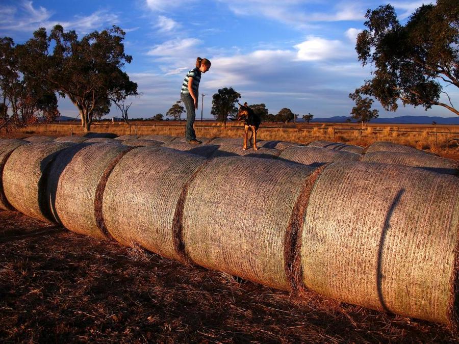 Gunnedah, in Australia. REUTERS/David Gray