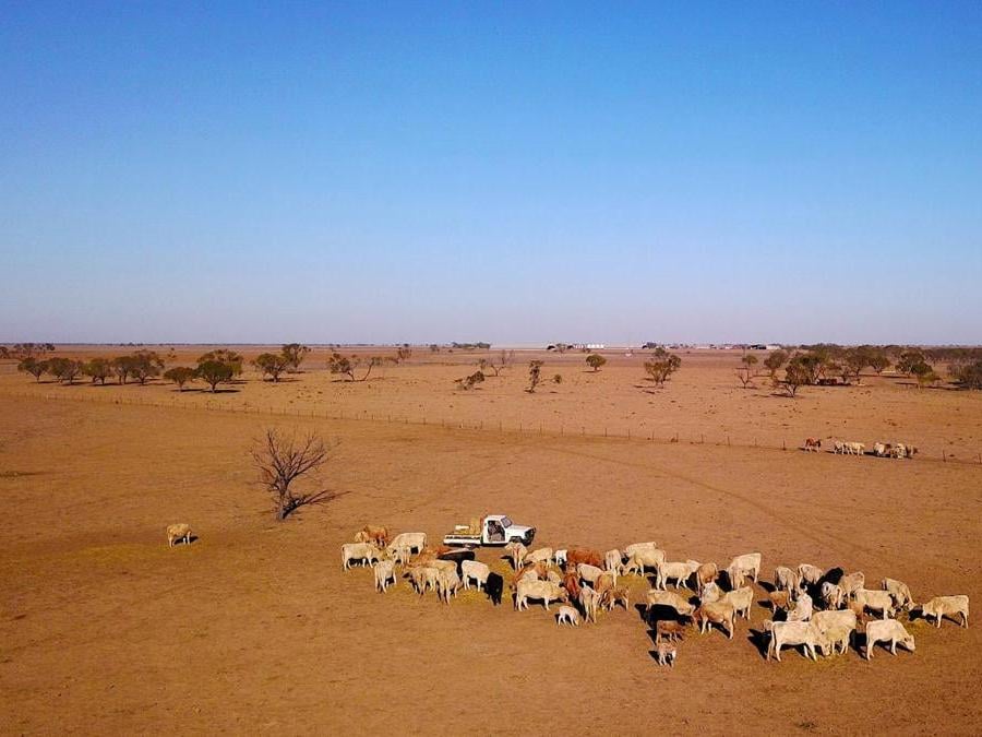 Walgett, in Australia. REUTERS/David Gray
