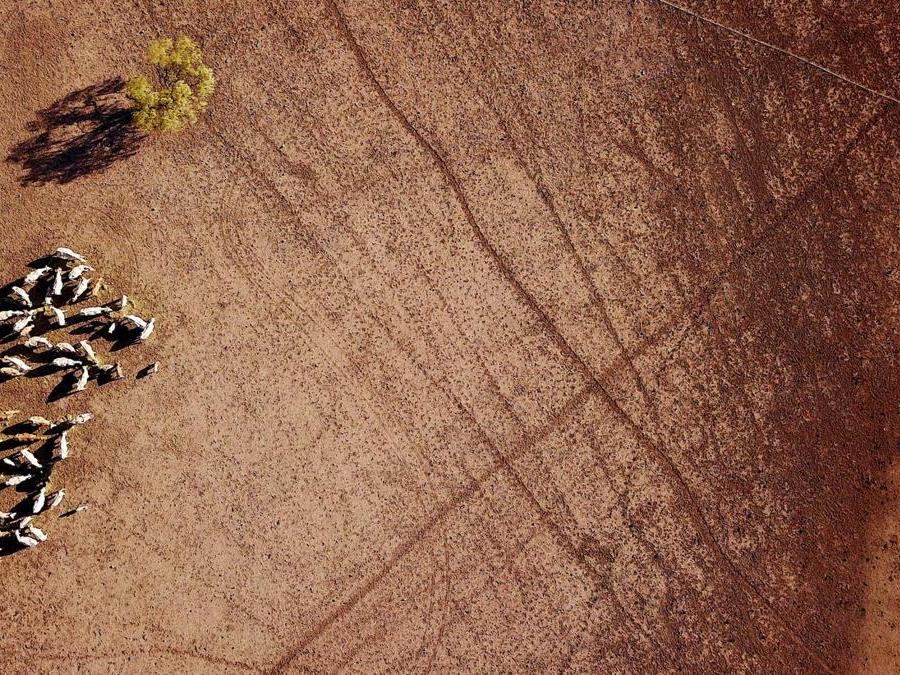 Walgett,  New South Wales, Australia. REUTERS/David Gray 