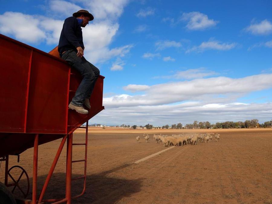 Tamworth,  New South Wales in Australia. REUTERS/David Gray