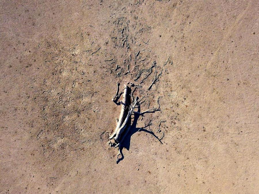 Tamworth, New South Wales, Australia. REUTERS/David Gray