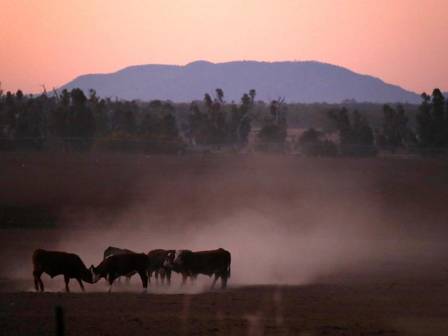 Tamworth, New South Wales, in Australia. REUTERS/David Gray