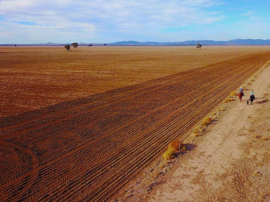Gunnedah in Australia. REUTERS/David Gray