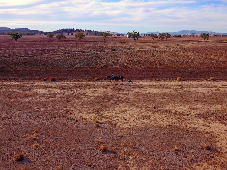 New South Wales, Gunnedah in Australia. REUTERS/David Gray