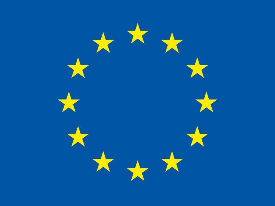 La bandiera europea nasce nel 1955 ed è costituita da un cerchio di 12 stelle dorate su uno sfondo blu. Le stelle rappresentano gli ideali di unità, solidarietà e armonia tra i popoli d'Europa (Getty Images)