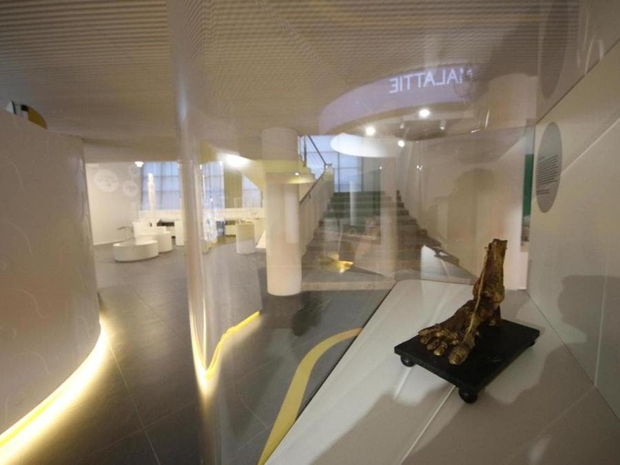Inaugurazione del museo interattivo Corporea, Museo del Corpo Umano, a Città della Scienza, Napoli. (Ansa)
