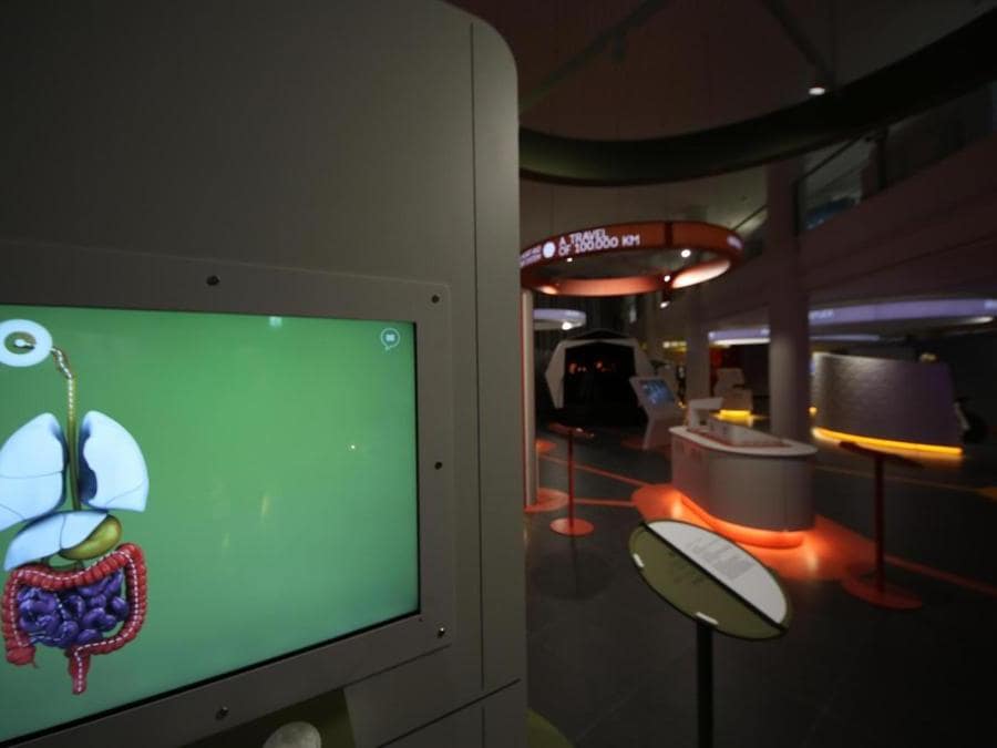 Inaugurazione del museo interattivo Corporea, Museo del Corpo Umano, a Città della Scienza, Napoli. (Ansa)