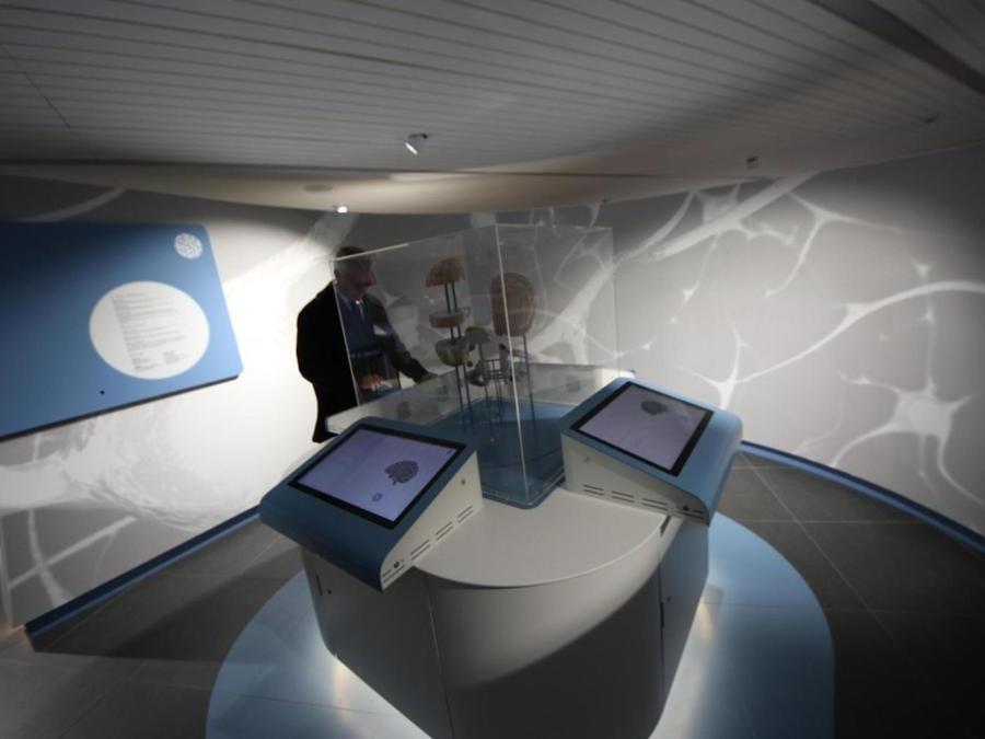 Inaugurazione del museo interattivo Corporea, Museo del Corpo Umano, a Città della Scienza, Napoli. (Ansa)