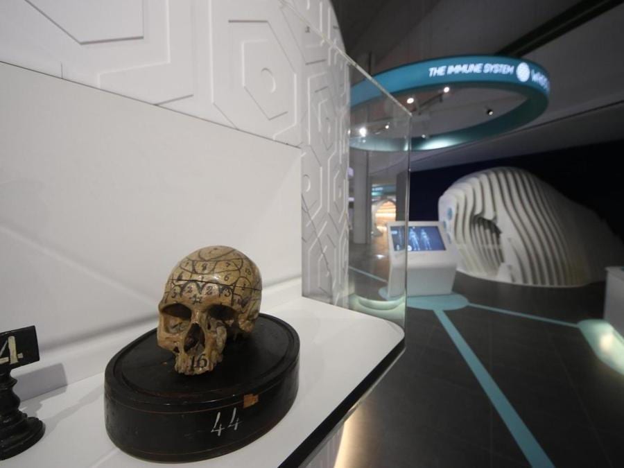 Inaugurazione del museo interattivo Corporea, Museo del Corpo Umano, a Città della Scienza, Napoli. (Ansa)
