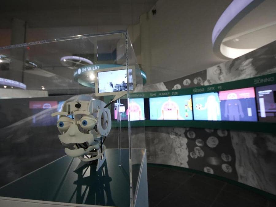 Inaugurazione del museo interattivo Corporea, Museo del Corpo Umano, a Città della Scienza, Napoli. (Ansa)